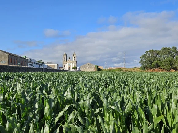 20230707_185656.jpg?type=w580