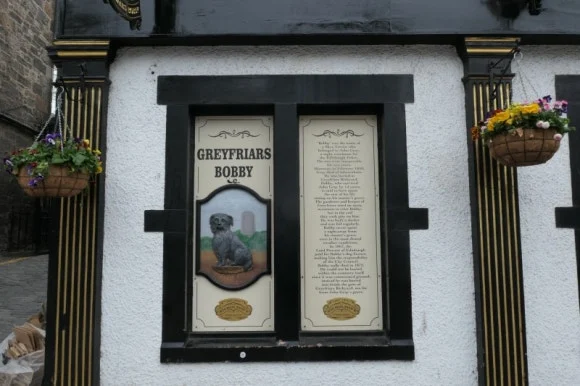 P1050738.JPG?type=w580