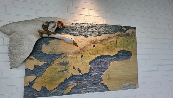 20230812_163602.jpg?type=w580