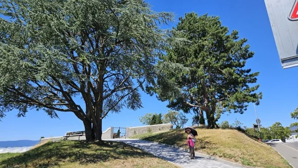 20230802_135449.jpg?type=w580