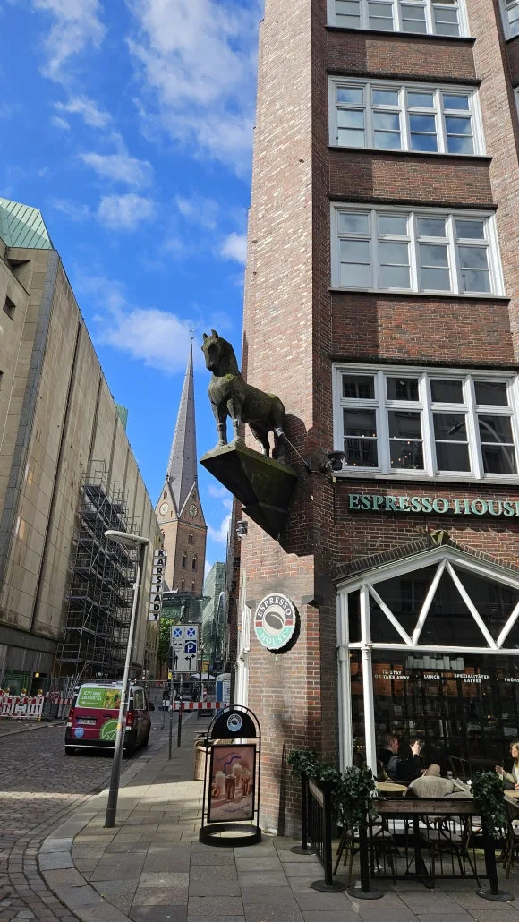 20230810_102043.jpg?type=w580