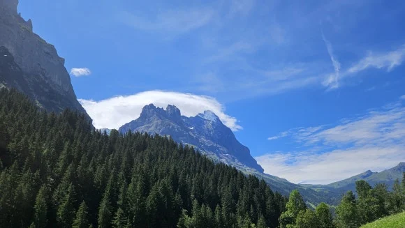 20230731_123500.jpg?type=w580