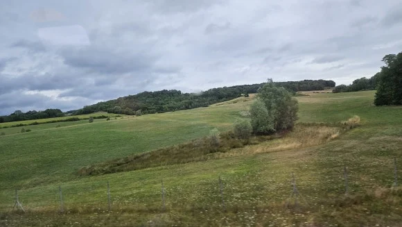 20230727_101555.jpg?type=w580