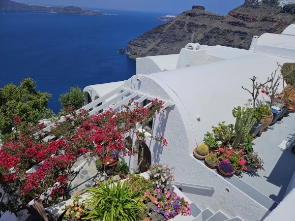 20230619_124442.jpg?type=w580