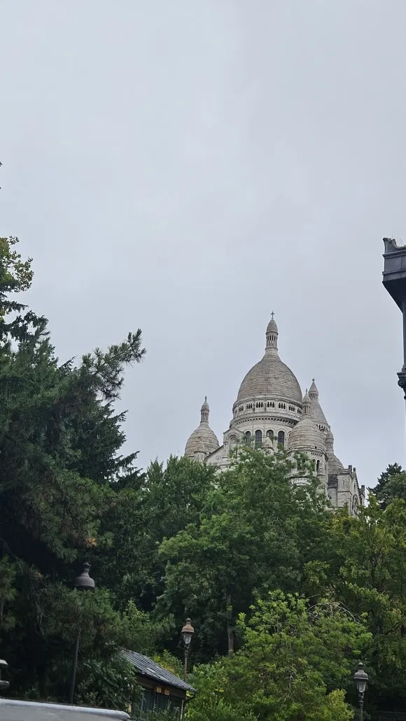 20230728_113610_-_%EB%B3%B5%EC%82%AC%EB%B3%B8.jpg?type=w580