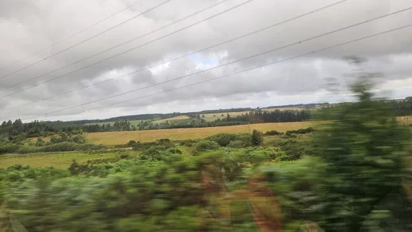 20230723_110719.jpg?type=w580