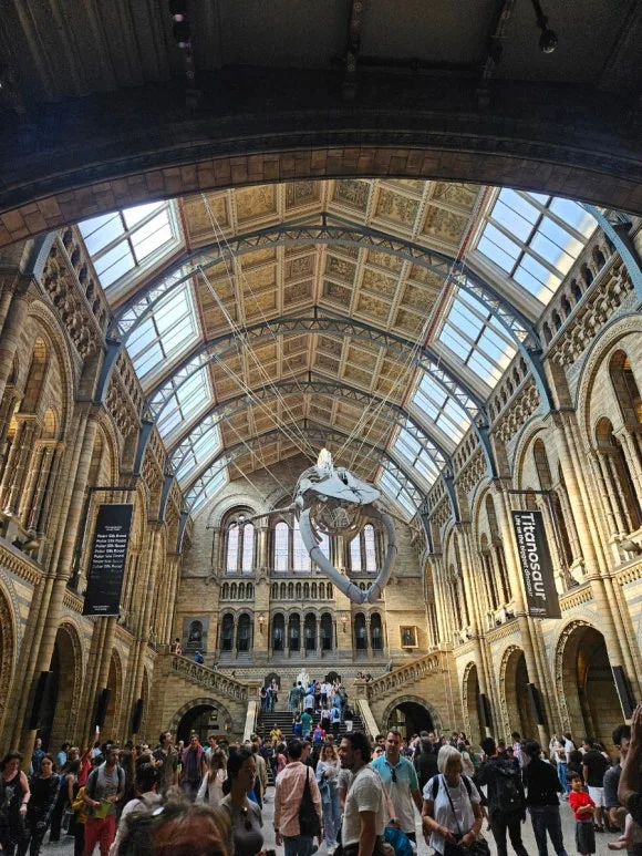 20230715%EF%BC%BF165603.jpg?type=w580