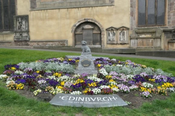 P1050741.JPG?type=w580