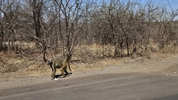 20230830_111027.jpg?type=w580