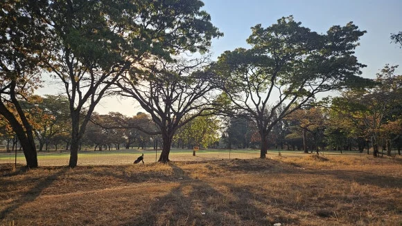 20230903_163331.jpg?type=w580