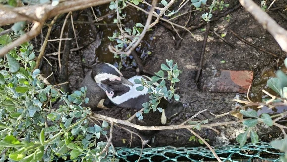 20230825_150831.jpg?type=w580