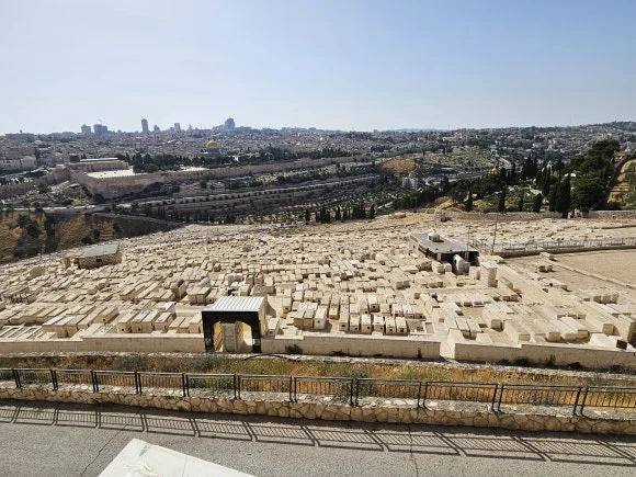 20230610_161917.jpg?type=w580