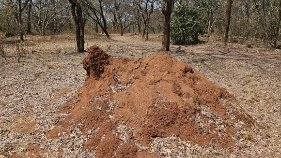 20230903_124947.jpg?type=w580