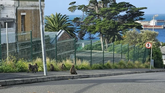 20230825_161803.jpg?type=w580