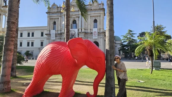 20230807_173307.jpg?type=w580