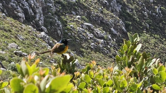 20230823_153234.jpg?type=w580