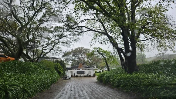 20230822_155941.jpg?type=w580