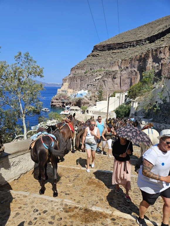 20230619_104117.jpg?type=w580