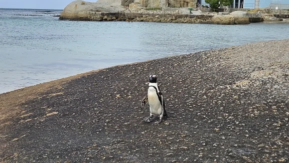 20230825_152926.jpg?type=w580