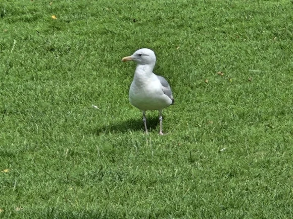 20230717%EF%BC%BF152720.jpg?type=w580