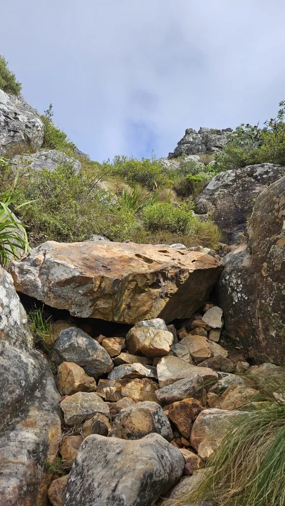 20230823_141326.jpg?type=w580