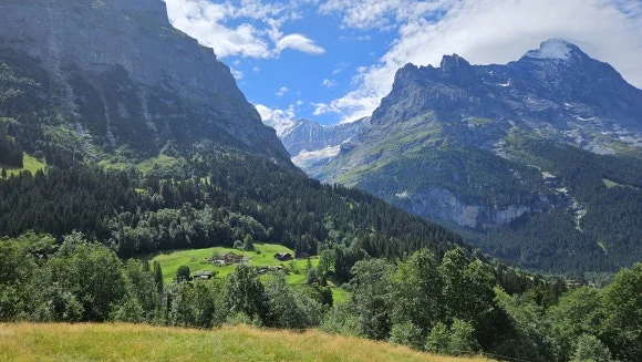 20230731_121619.jpg?type=w580