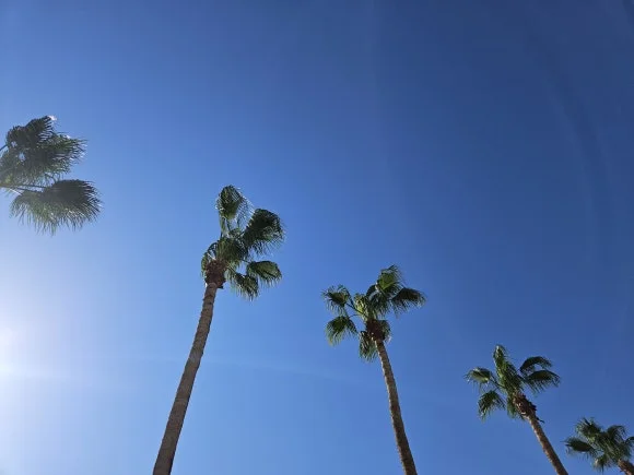 20230626_083012_001.jpg?type=w580