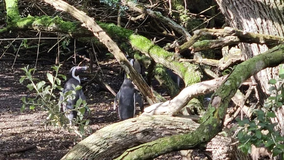 20230825_150757.jpg?type=w580