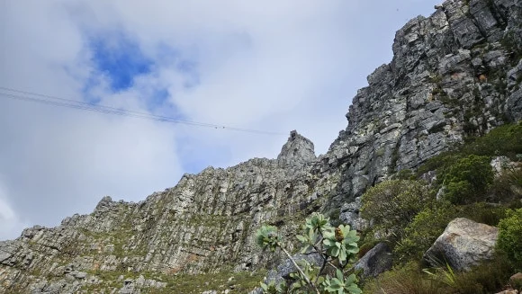 20230823_154617.jpg?type=w580