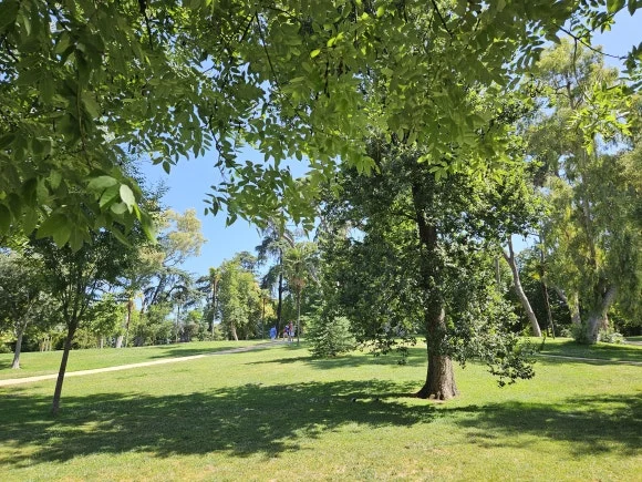 20230710_114154.jpg?type=w580