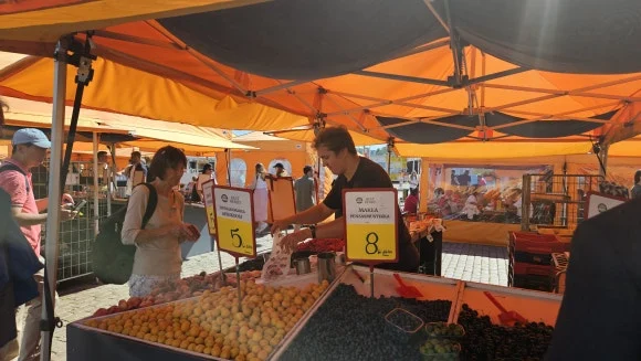 20230815_135719.jpg?type=w580