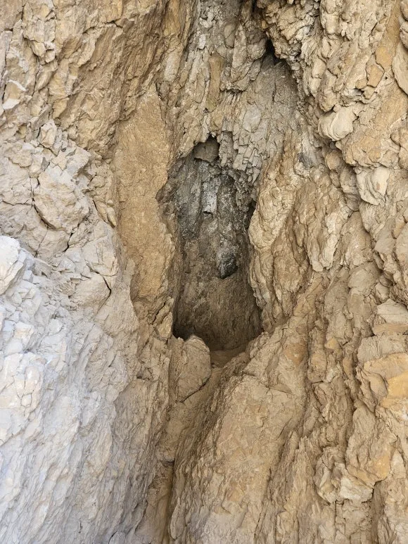 20230611_112903.jpg?type=w580