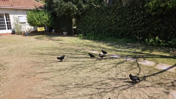 20230902_131947.jpg?type=w580