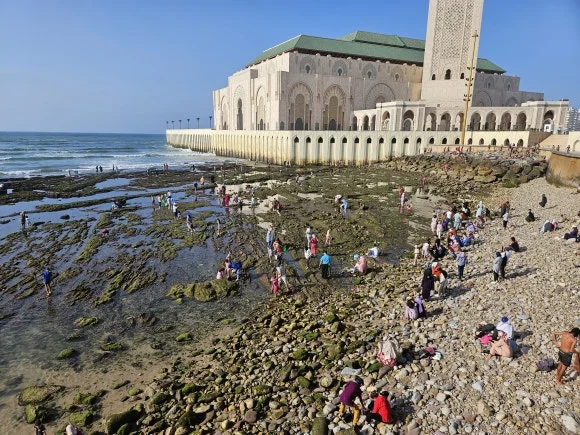 20230701_181230.jpg?type=w580