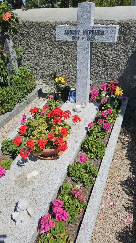 20230802_125108.jpg?type=w580