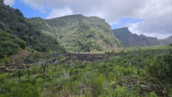 20230807_122235.jpg?type=w580