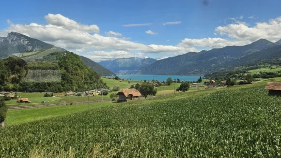 20230803%EF%BC%BF140809.jpg?type=w580