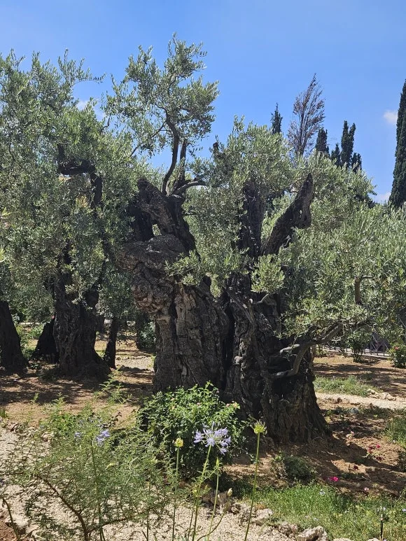 20230615_142144.jpg?type=w580