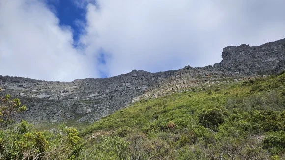 20230823_130948.jpg?type=w580