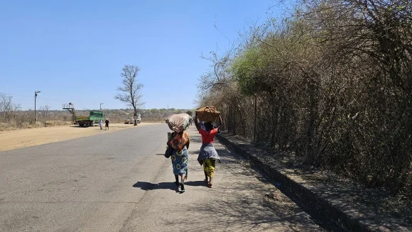 20230830_124901.jpg?type=w580