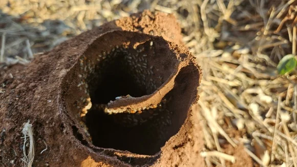 20230903_161017.jpg?type=w580