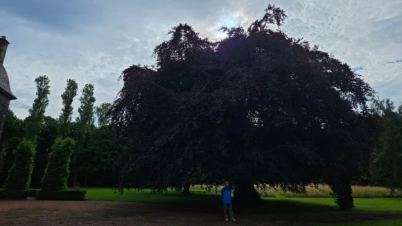 20230725%EF%BC%BF091734.jpg?type=w580