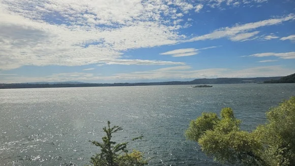 20230802_112246.jpg?type=w580