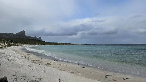 20230821_163724.jpg?type=w580