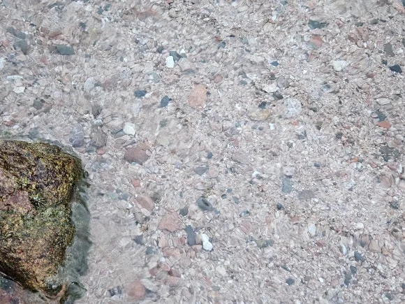 20230625_191212.jpg?type=w580