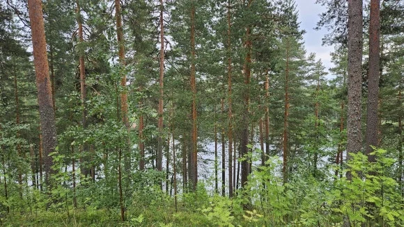 20230816_150817.jpg?type=w580