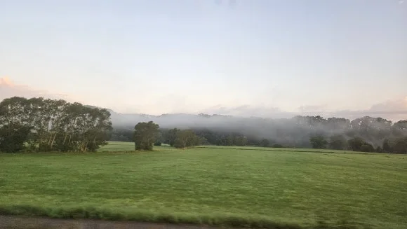 20230810_062237.jpg?type=w580