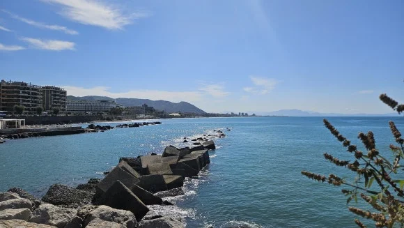 20230808_102522.jpg?type=w580