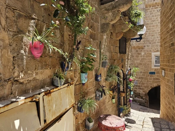 20230612_135233.jpg?type=w580