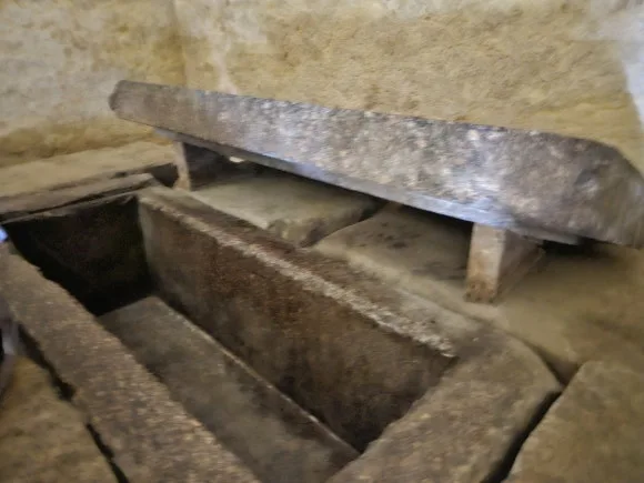 20230627_140222.jpg?type=w580